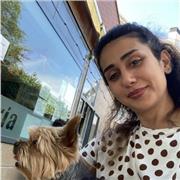 As a graduating honors education major at English translation and teaching university I have a very strong pursuing at teaching career with experience of working at both the elementary schools and kindergartens and as well as in activities outside of the